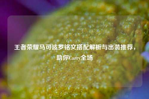 王者荣耀马可波罗铭文搭配解析与出装推荐,助你Carry全场