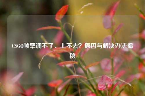 CSGO帧率调不了、上不去？原因与解决办法揭秘