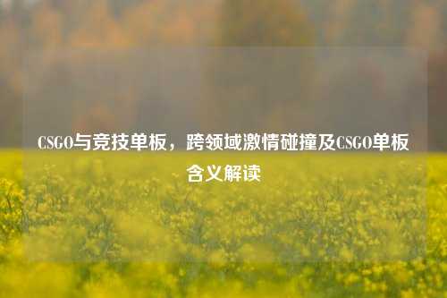 CSGO与竞技单板,跨领域激情碰撞及CSGO单板含义解读