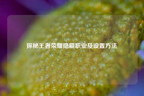 探秘王者荣耀隐藏职业及设置方法