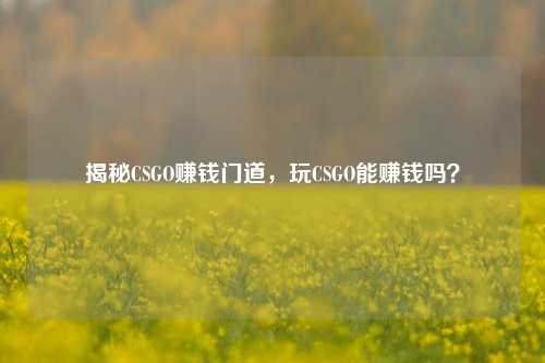 揭秘CSGO赚钱门道,玩CSGO能赚钱吗?