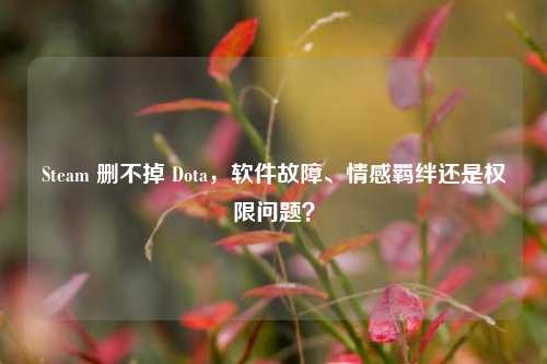 Steam 删不掉 Dota,软件故障、情感羁绊还是权限问题?