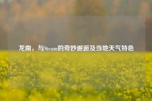 龙南,与Steam的奇妙邂逅及当地天气特色