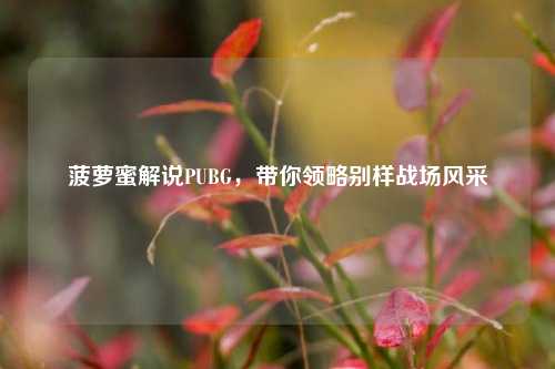 菠萝蜜解说PUBG，带你领略别样战场风采