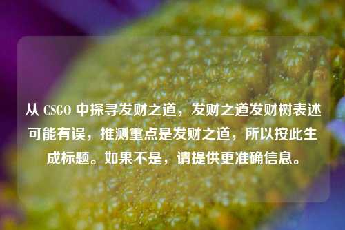 从 CSGO 中探寻发财之道,发财之道发财树表述可能有误,推测重点是发财之道,所以按此生成标题。如果不是,请提供更准确信息。