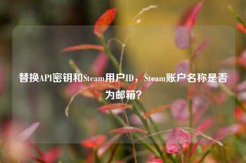 替换API密钥和Steam用户ID,Steam账户名称是否为邮箱?
