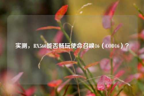 实测，RX560能否畅玩使命召唤16（COD16）？