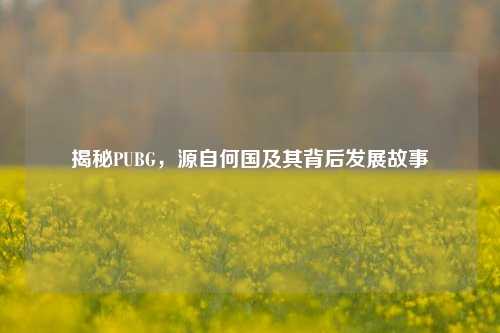 揭秘PUBG,源自何国及其背后发展故事