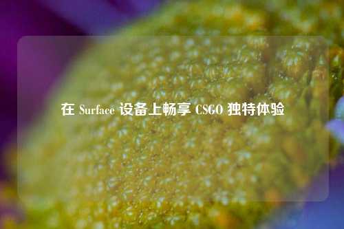 在 Surface 设备上畅享 CSGO 独特体验