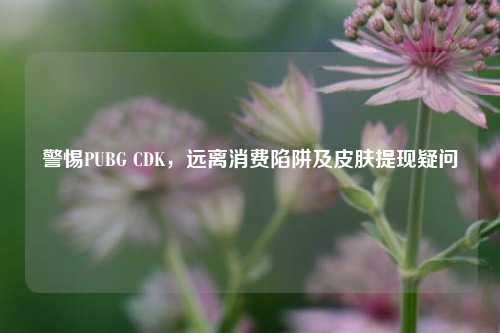 警惕PUBG CDK,远离消费陷阱及皮肤提现疑问