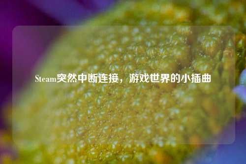 Steam突然中断连接,游戏世界的小插曲