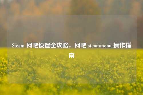 Steam 网吧设置全攻略,网吧 steammenu 操作指南