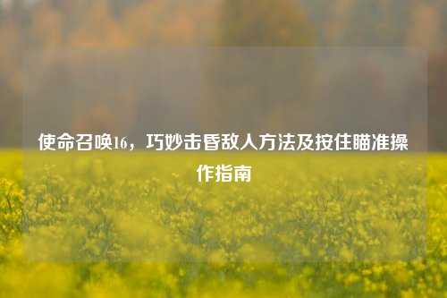 使命召唤16,巧妙击昏敌人方法及按住瞄准操作指南