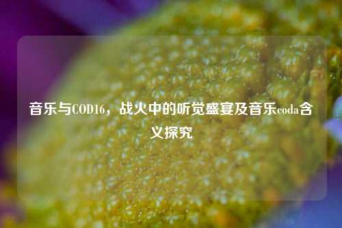 音乐与COD16，战火中的听觉盛宴及音乐coda含义探究