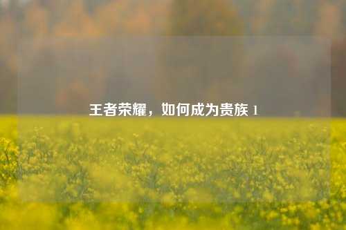 王者荣耀,如何成为贵族 1