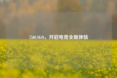 750CSGO，开启电竞全新体验