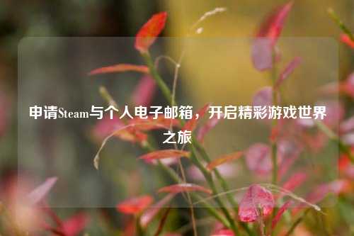 申请Steam与个人电子邮箱，开启精彩游戏世界之旅