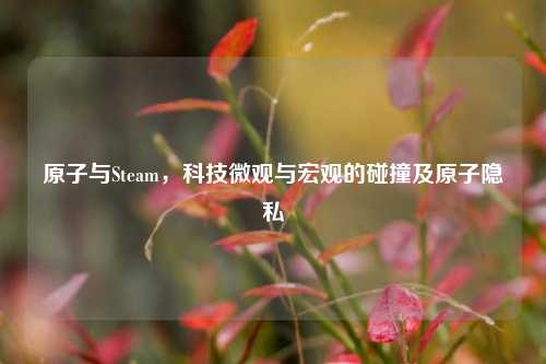 原子与Steam,科技微观与宏观的碰撞及原子隐私