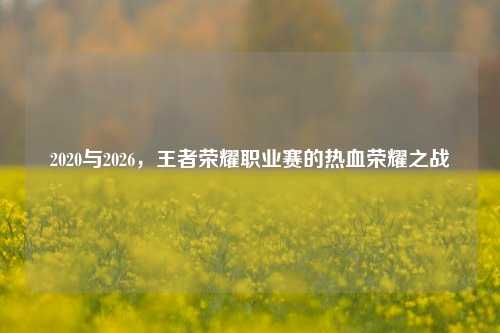 2020与2026,王者荣耀职业赛的热血荣耀之战