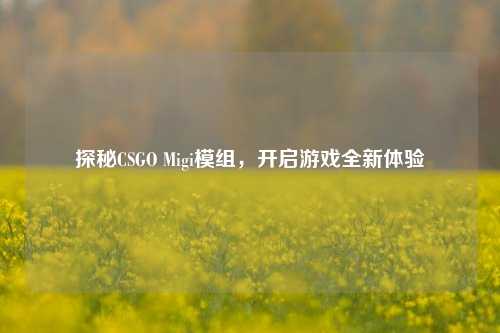 探秘CSGO Migi模组，开启游戏全新体验