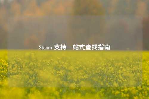 Steam 支持一站式查找指南