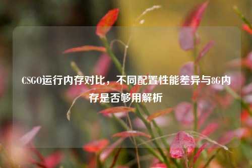 CSGO运行内存对比,不同配置性能差异与8G内存是否够用解析