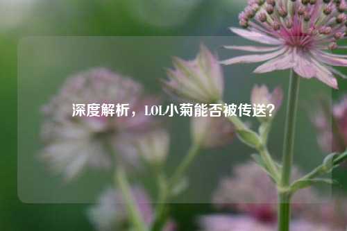 深度解析,LOL小菊能否被传送?
