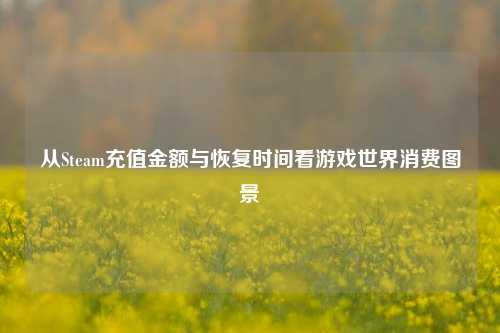 从Steam充值金额与恢复时间看游戏世界消费图景