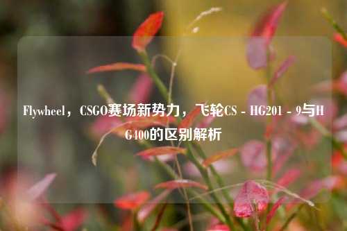 Flywheel,CSGO赛场新势力,飞轮CS - HG201 - 9与HG400的区别解析