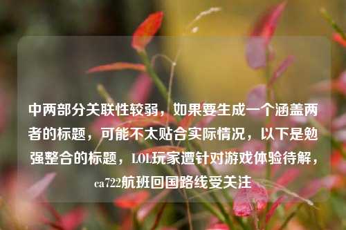 中两部分关联性较弱,如果要生成一个涵盖两者的标题,可能不太贴合实际情况,以下是勉强整合的标题,LOL玩家遭针对游戏体验待解,ca722航班回国路线受关注