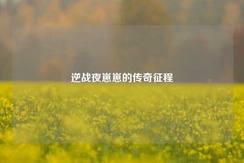 逆战夜崽崽的传奇征程