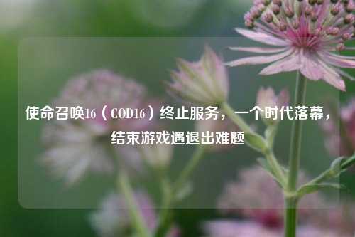 使命召唤16(COD16)终止服务,一个时代落幕,结束游戏遇退出难题
