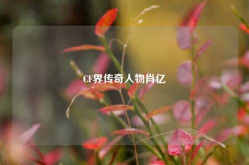 CF界传奇人物肖亿