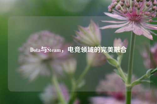 Dota与Steam，电竞领域的完美融合