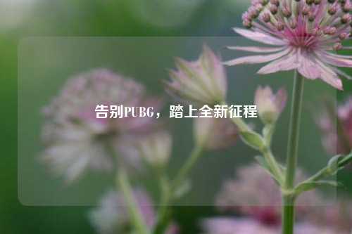 告别PUBG，踏上全新征程