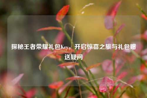 探秘王者荣耀礼包Key,开启惊喜之旅与礼包赠送疑问