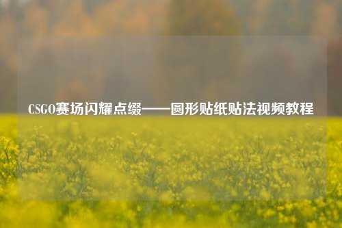 CSGO赛场闪耀点缀——圆形贴纸贴法视频教程