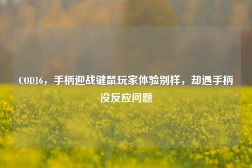 COD16,手柄迎战键鼠玩家体验别样,却遇手柄没反应问题