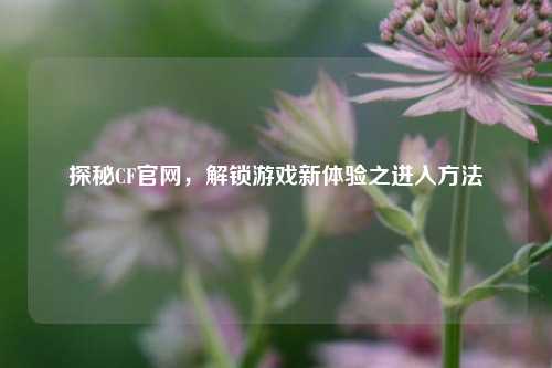 探秘CF官网，解锁游戏新体验之进入方法