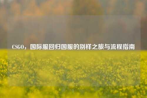 CSGO,国际服回归国服的别样之旅与流程指南