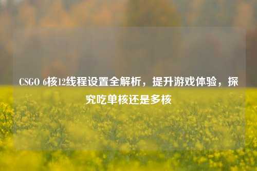 CSGO 6核12线程设置全解析,提升游戏体验,探究吃单核还是多核