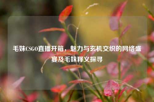 毛妹CSGO直播开箱,魅力与玄机交织的网络盛宴及毛妹释义探寻