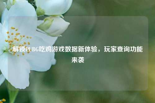 解锁PUBG吃鸡游戏数据新体验,玩家查询功能来袭