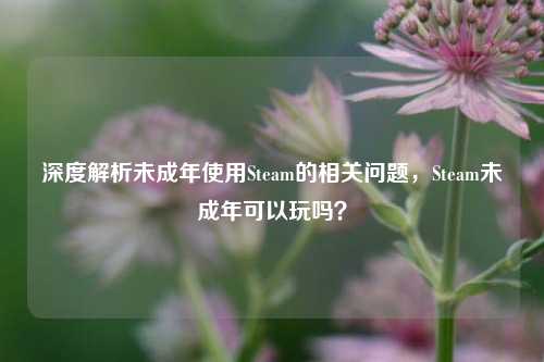 深度解析未成年使用Steam的相关问题，Steam未成年可以玩吗？