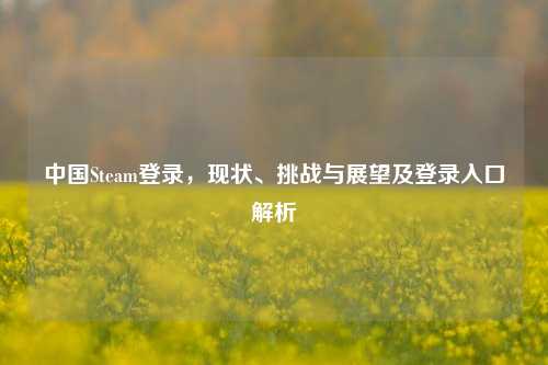 中国Steam登录，现状、挑战与展望及登录入口解析