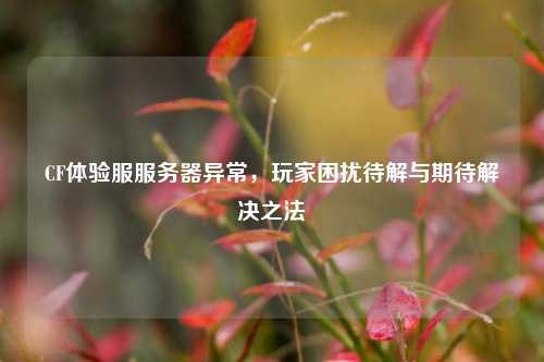 CF体验服服务器异常，玩家困扰待解与期待解决之法