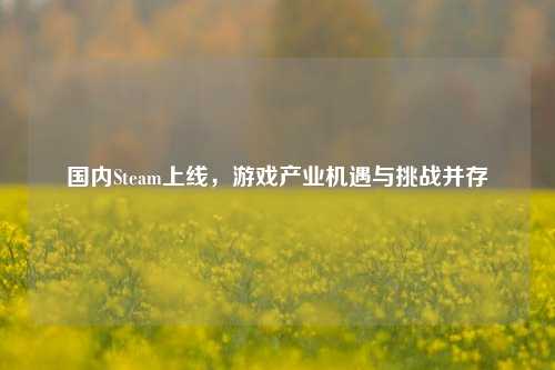 国内Steam上线,游戏产业机遇与挑战并存