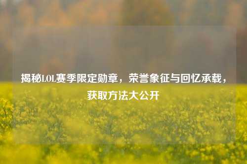 揭秘LOL赛季限定勋章，荣誉象征与回忆承载，获取方法大公开