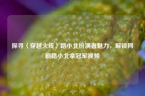 探寻〈穿越火线〉路小北扮演者魅力,解锁网剧路小北拿冠军视频