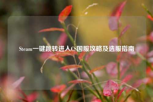 Steam一键跳转进入CS国服攻略及选服指南